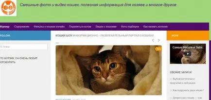 proprietarului, pisica pentru un top zece site-uri pentru cei care locuiesc cu pisici (site-uri) pentru pisica site-uri de proprietar top zece pentru cei care locuiesc cu pisici
