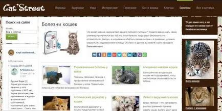 proprietarului, pisica pentru un top zece site-uri pentru cei care locuiesc cu pisici (animale de companie) pentru pisica site-uri de proprietar top zece pentru cei care locuiesc cu pisici