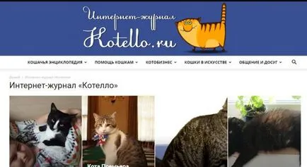 proprietarului, pisica pentru un top zece site-uri pentru cei care locuiesc cu pisici (site-uri) pentru pisica site-uri de proprietar top zece pentru cei care locuiesc cu pisici