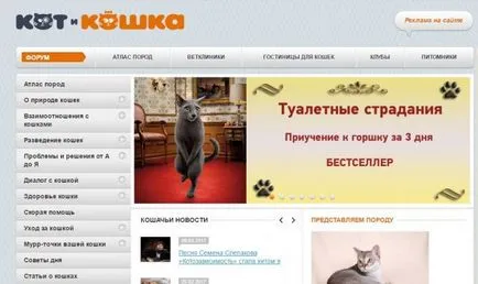 proprietarului, pisica pentru un top zece site-uri pentru cei care locuiesc cu pisici (animale de companie) pentru pisica site-uri de proprietar top zece pentru cei care locuiesc cu pisici