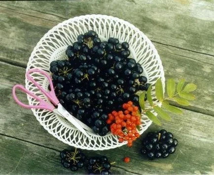 Sunberry utilizare, cultivare, îngrijire, rețete (Sunberry) Sunberry utilizare, cultivare, îngrijire, rețete