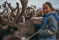 viața românească de Nord de păstorii de reni din tundra (viata) viața românească nord de păstorii de reni în tundra