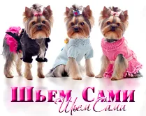 Asigurați-un arc cu mâinile lor pentru York, Yorkshire Terrier (do) Asigurați-un arc cu mâinile lor pentru York, Yorkshire Terrier