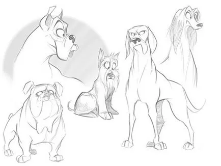 Secretele desen animale desene animate