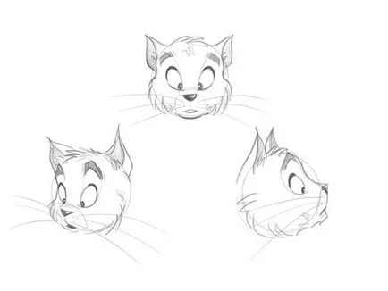 Secretele desen animale desene animate