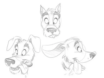 Secretele desen animale desene animate