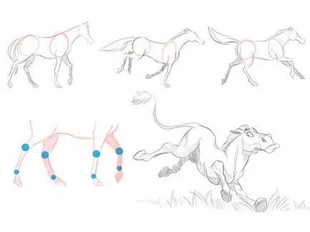 Secretele desen animale desene animate
