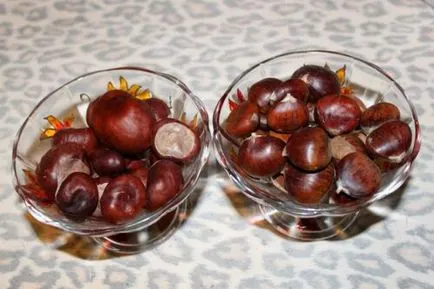 castane comestibile și necomestibile