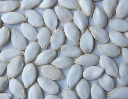 Ce urmează dovlecel plantare rekomentatsii