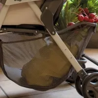 Șasiu pentru Căruțuri - cărucioarele, cumpăra dreptul (președinte) Șasiu pentru cărucioare de copii - cărucioarele, cumpăra dreptul