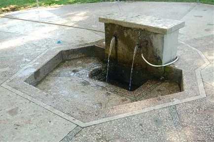 Puterea apelor curative ale surselor abhaze blagozdravnitsa