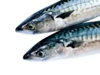Macrou - beneficii si vatamare, calorii