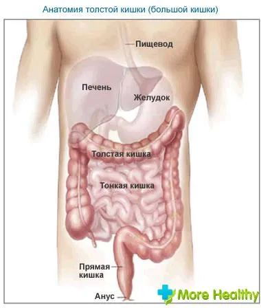 Mucusul în intestin - un semn alarmant (mucus) Mucusul în intestin - un simptom alarmant