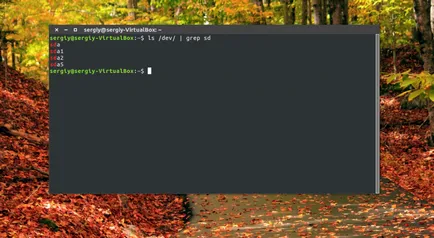 A se vedea lista de drive-uri Linux, losst