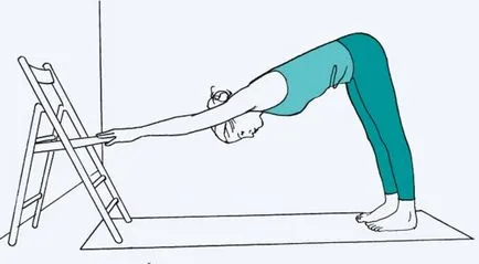 Câine bot în jos „și utilizarea tehnicii de Adho Mukha shvanasany (câine postura bot în yoga) Câine bot în jos „și utilizarea tehnicii de Adho Mukha shvanasany