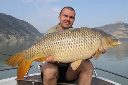 Tackle crap cu mâinile video de crap catchability ucigaș și alte