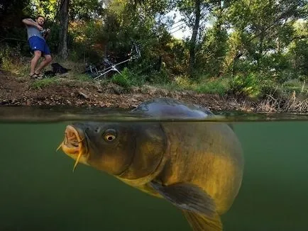 Tackle crap cu mâinile video de crap catchability ucigaș și alte