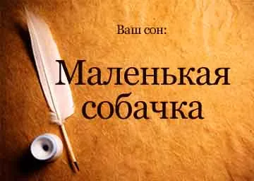 Interpretarea vis de câine mic de cerneală albă pe mâinile unui vis pentru a vedea ce este un vis (interpretare de vis) Interpretare vis de câine mic de cerneală albă pe mâinile unui vis pentru a vedea ce vise