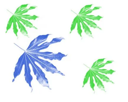 Crearea propriilor perii de imagini in Photoshop