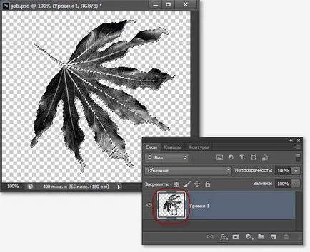 Crearea propriilor perii de imagini in Photoshop