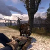 Stalker Shadow of Chernobyl - Joc opinie, Trucuri, Secretele, și mai mult