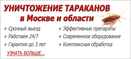Remediu Regent gândacilor și utilizarea acestuia (regent) gandaci remediu și utilizarea acestuia Regent