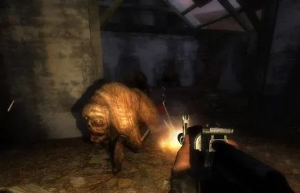 Stalker Shadow of Chernobyl - Joc opinie, Trucuri, Secretele, și mai mult