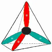 Structura apei