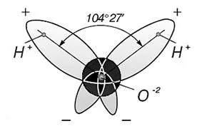 Structura apei