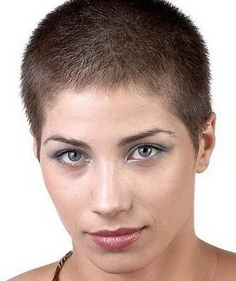 Perierea de sex masculin Ariciul fotografie și variante de sex feminin