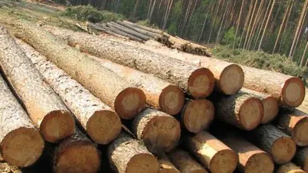 Construcție de case din lemn, cu propriile lor mâini, video