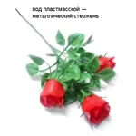 Inele de nunta de pe masina cu mâinile (inelul) Inele de nunta de pe masina cu mâinile lor