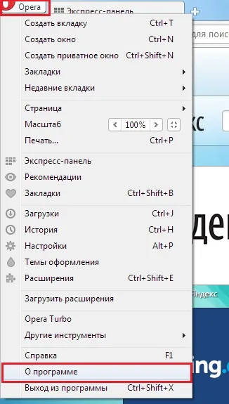 Flash Shockwave încetinește computerul