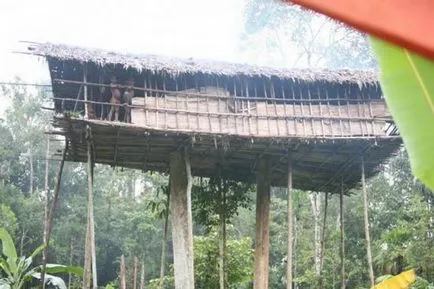 Șocant tradiția de Papuans care nu înțeleg toată lumea