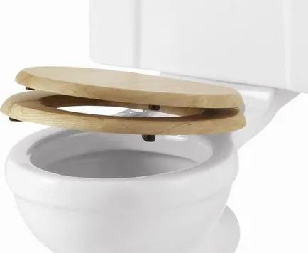 Scaun WC de ridicare de ridicare, care este, capacul scaunul de toaletă și cum să se stabilească un accesoriu (WC) WC de ridicare scaun de ridicare cu ea, capac scaun de toaletă și cum să se stabilească de montare,