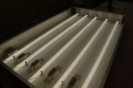 lightbox; cutie de lumină sau cu mâinile lor pentru semne publicitare (caseta de lumină) cutie de lumină, sau cu mâinile lor Lightbox semnalistica