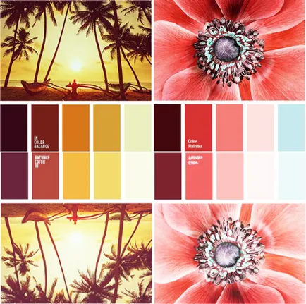 Greutatea redusa de culoare, lookcolor