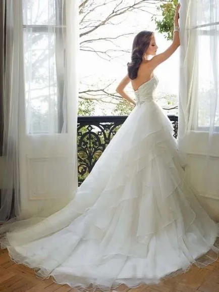rochie de mireasa luxuriant cu caracteristici Flex și reguli de selecție (53 poze)