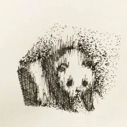Tatuaj valoare panda tatuaj, 28 de fotografii, schițe