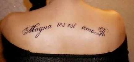 Tattoo aforisme latine și citate despre dragoste, o revistă online despre tatuaj (dragoste) Tattoo aforisme latine și citate despre dragoste, o revistă online despre tatuaje