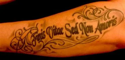Tattoo aforisme latine și citate despre dragoste, o revistă online despre tatuaje (limba latină) Tattoo aforisme latine și citate despre dragoste, o revistă online despre tatuaje