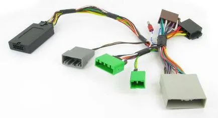 Conducerea conectivitate auto