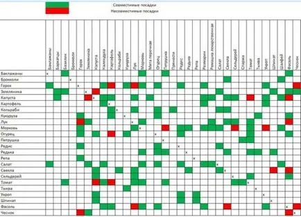 legume de plantare Schema de rotație a culturilor de legume de grădină, de a crea la cabana de vara,