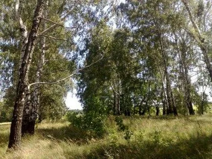 The Village
