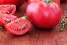 Comentarii tomate roz gigant și fotografii, descrierea și caracterizarea soiurilor de cultivare de tomate (roz) Comentarii tomate roz gigant și fotografii, descrierea și caracterizarea soiurilor de cultivare de tomate