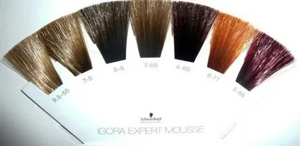 Tonifiere tonifiere mousse Igora expert mousse, Schwarzkopf Professional (expert) Tonifiere tonifiere mousse Igora expert mousse, Schwarzkopf profesionale