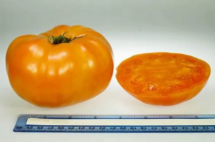 Tomate Descrierea curmale a soiului, feedback-ul de care a cultivat Bush fotografia de