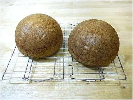 Tort - Pui