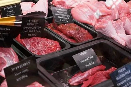 fapte uimitoare despre canguri, care s-ar putea să nu cunoașteți