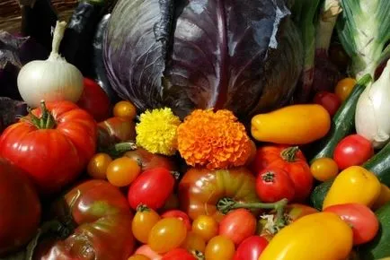 Îngrășăminte din iarbă și buruieni care cresc roșii la cabana lor de vară (zona) Îngrășăminte din iarbă și buruieni care cresc roșii la cabana lor de vară